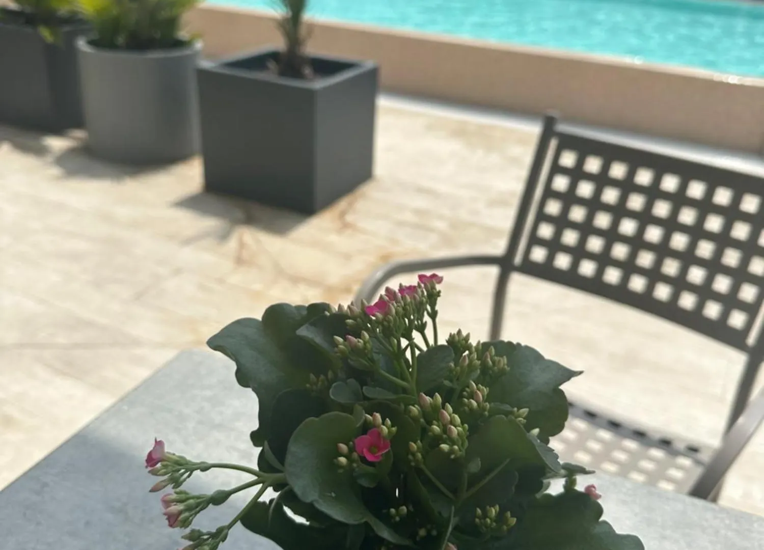 Apartment Holiday House Al Porto Peschiera del Garda Italy